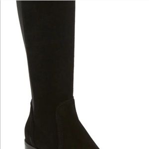 aquatalia jordan suede tall boots